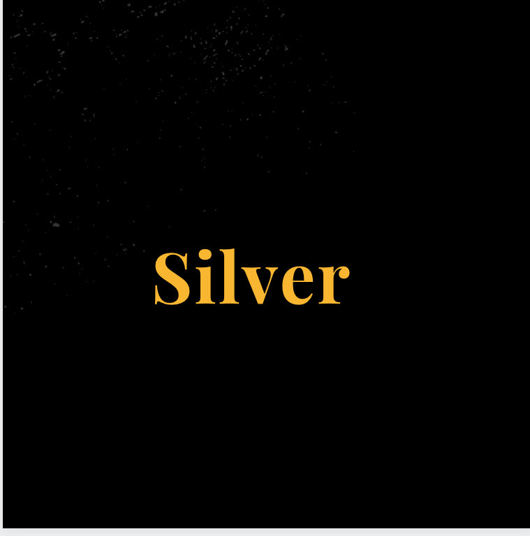 Publishing packages - Silver Package